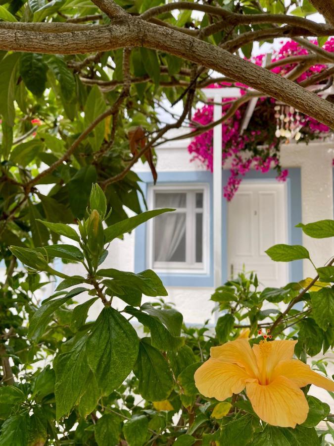 Seaside Studios Arkasa Karpathos Екстер'єр фото