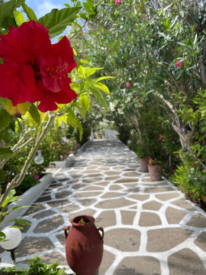 Seaside Studios Arkasa Karpathos Екстер'єр фото